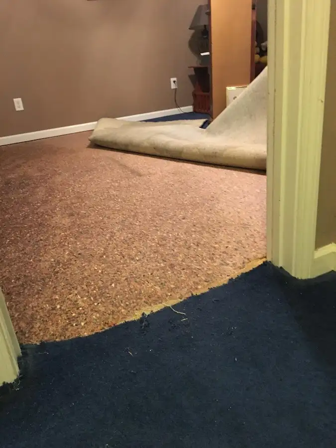 Carpet pad removal revealing water damage during Drying & Dehumidification in Brownsburg