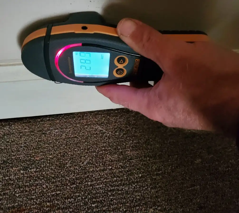 Moisture detection at baseboard during Mold Inspection & Testing in Brownsburg